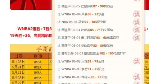 红姐解读欧宝娱乐App：塞伊奈约基主场优势，精准分析赛事焦点